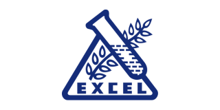 Excel Logo